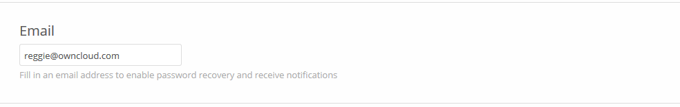 screenshot of email address form