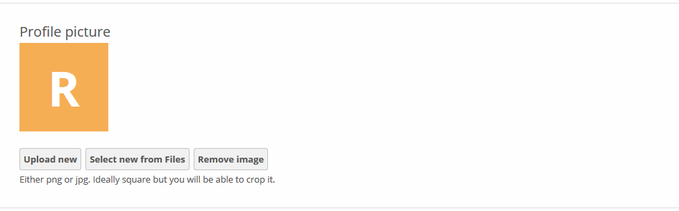 screenshot of profile picture management form